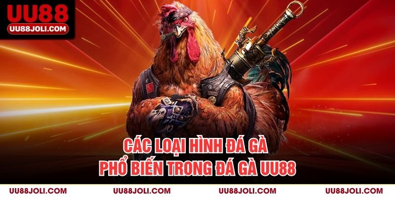 Các loại hình đá gà phổ biến trong Đá Gà uu88