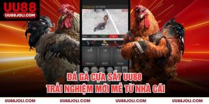 Đá Gà Cựa Sắt UU88 - Trải Nghiệm Mới Mẻ Từ Nhà Cái