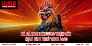 Đá Gà Thái Lan uu88 – Trận Đấu Kịch Tính Nhất Năm 2025