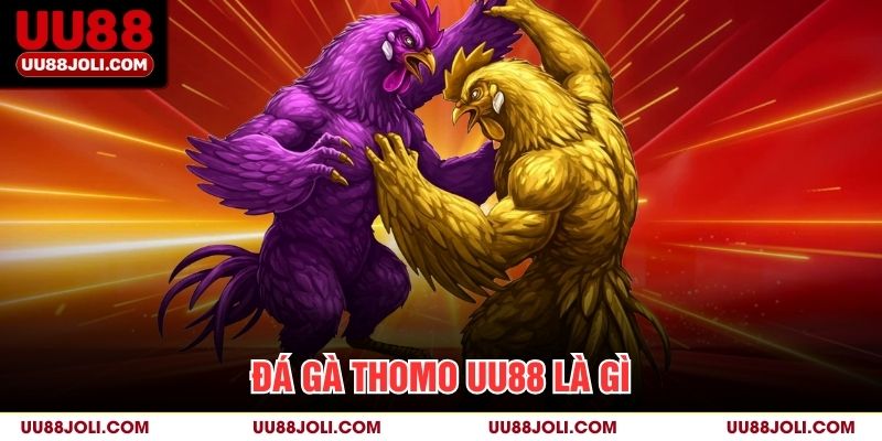 Đá gà thomo uu88 là gì?