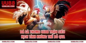 Đá Gà Thomo Uu88 – Trận Siêu Kịch Tính Không Thể Bỏ Qua!