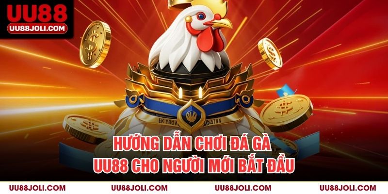 Hướng dẫn chơi Đá Gà uu88 cho người mới bắt đầu