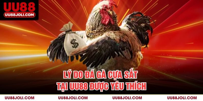 Lý Do Đá Gà Cựa Sắt Tại UU88 Được Yêu Thích